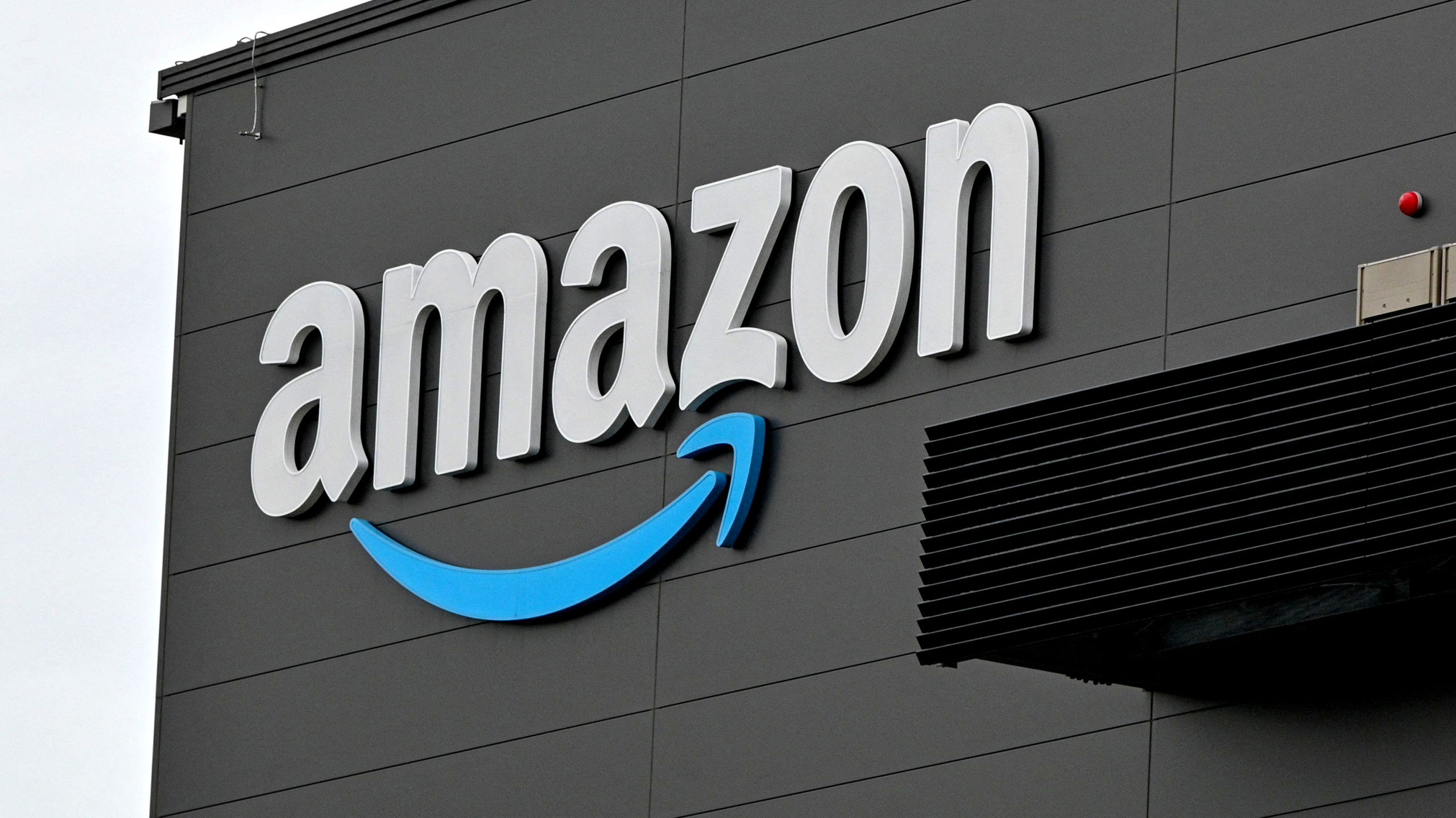 Referenční společnost - Amazon